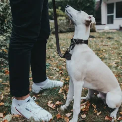 Hunter Looplijn Leder Donkerbruin - Hondenriem