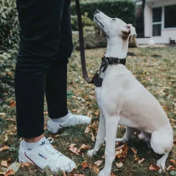 Hunter Looplijn Leder Donkerbruin - Hondenriem