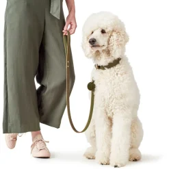 Hunter Looplijn Leder Olijfgroen - Hondenriem