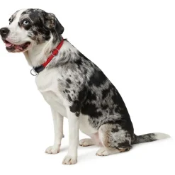 Hunter Sliphalsband Freestyle Rond Rood - Hondenhalsband