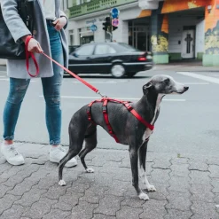 Hunter Veiligheidstuig Vario Rapid Rood - Hondenharnas