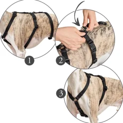 Hunter Veiligheidstuig Vario Rapid Rood - Hondenharnas