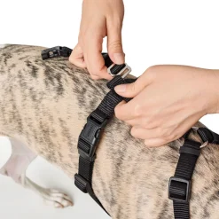 Hunter Veiligheidstuig Vario Rapid Zwart - Hondenharnas