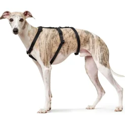 Hunter Veiligheidstuig Vario Rapid Zwart - Hondenharnas