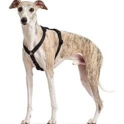 Hunter Veiligheidstuig Vario Rapid Zwart - Hondenharnas