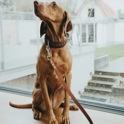 Hunter Verstelbare Looplijn Leder Cognac - Hondenriem