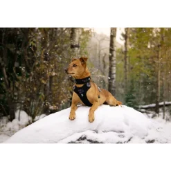 Hurtta Harnas Weekend Warrior Eco Hedge - Hondenharnas