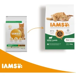 Iams Cat Adult - Kattenvoer - Lam 10 kg