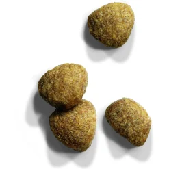 Iams Cat Adult Sterilised Kip - Kattenvoer