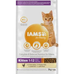 Iams Kitten & Junior Kip - Kattenvoer