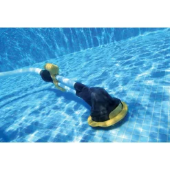 Interline Zwembadreiniger Minizap Automat. - Zwembad-Toebehoren -