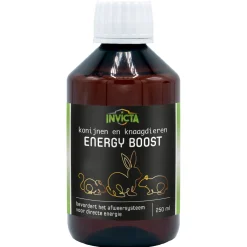 Invicta Energy Boost - Voedingssupplement