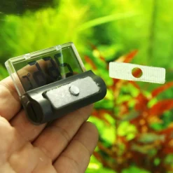 Jbl Aquariumthermometer Digiscan - Aquarium Toebehoren - 1 stuk