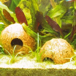 Jbl Cocoscava - Aquarium Toebehoren - 1 stuk 1/2 L