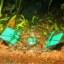 Jbl Limcollect Slakkenval - Aquarium Toebehoren - 1 stuk