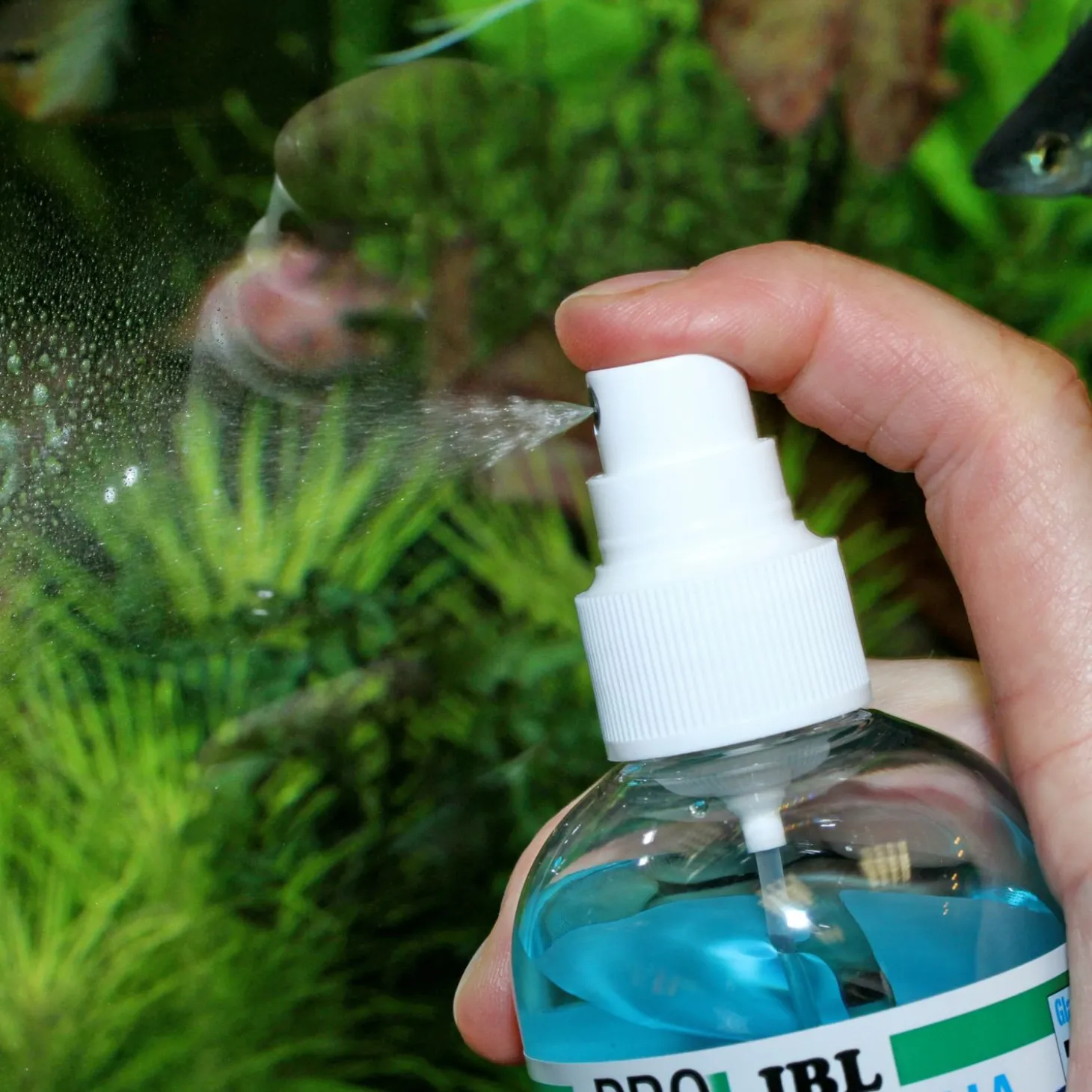 Jbl Proclean Aqua - Filters - 250 ml