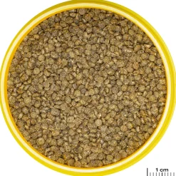 Jbl Pronovo Gourami Grano Click - Vissenvoer - 250 ml S