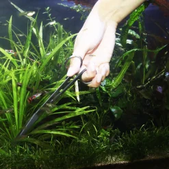 Jbl Proscape Tools S 30 Curved - Aquascaping - 30 cm