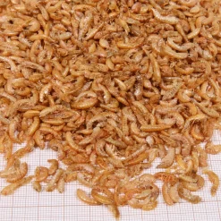 Jbl Proterra Gammarus - Voer