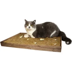 Jr Farm Activiteiten Tapijt - Kattenspeelgoed - 55x37 cm