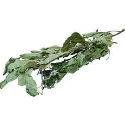 Jr Farm Appelboom-Oogst - Ruwvoer - 16x3x60 cm 40 g