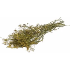 Jr Farm Dille-Oogst - Ruwvoer - 16x5x70 cm 80 g