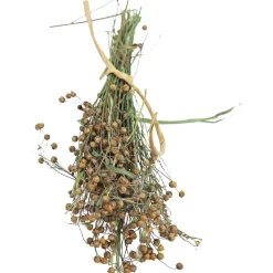 Jr Farm Lijnzaad Vlas - Vogelvoer - 3 x 13 x 38 cm 30 g