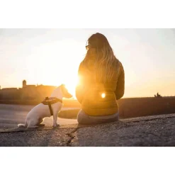 Julius-K9 Idc Powertuig Rood - Hondenharnas