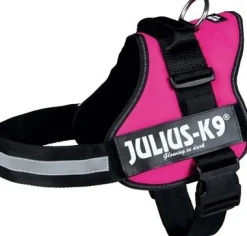 Julius-K9 Powerharness Fuchsia - Hondenharnas