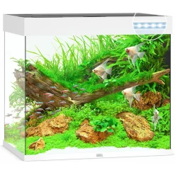 Juwel Aquarium Lido 200 Led 71x51x65 cm - Aquaria