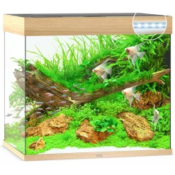 Juwel Aquarium Lido 200 Led 71x51x65 cm - Aquaria