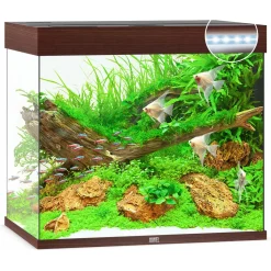Juwel Aquarium Lido 200 Led 71x51x65 cm - Aquaria