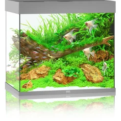 Juwel Aquarium Lido 200 Led 71x51x65 cm - Aquaria