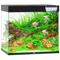 Juwel Aquarium Lido 200 Led 71x51x65 cm - Aquaria