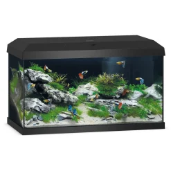 Juwel Aquarium Primo 60 2.0 - Aquaria - 61x31x37 cm Zwart