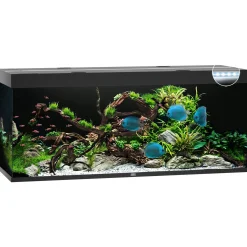 Juwel Aquarium Rio 450 Led - Aquaria