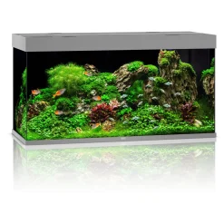 Juwel Aquarium Rio 350 Led 121x51x66 cm - Aquaria