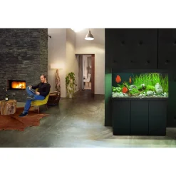 Juwel Aquarium Rio 350 Led 121x51x66 cm - Aquaria