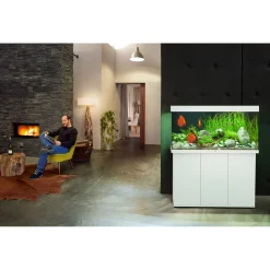 Juwel Aquarium Rio 350 Led 121x51x66 cm - Aquaria