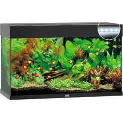 Juwel Aquarium Rio 125 Led 80x35x50 cm - Aquaria