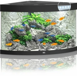 Juwel Aquarium Trigon 190 Led 70x70x60 cm - Aquaria