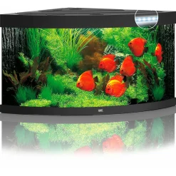 Juwel Aquarium Trigon 350 Led 123x87x65 cm - Aquaria