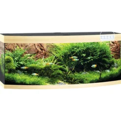 Juwel Aquarium Vision 450 Led - Aquaria