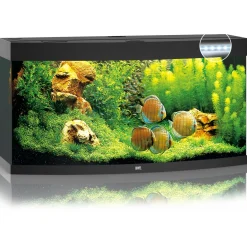 Juwel Aquarium Vision 260 Led 121x46x64 cm - Aquaria