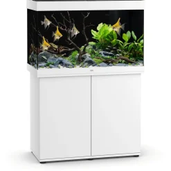 Juwel Rio 290 Led - Aquarium - 101x51x66 cm Wit