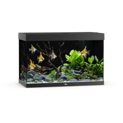Juwel Rio 290 Led - Aquarium - 101x51x66 cm Zwart