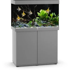 Juwel Rio 290 Led - Aquarium - 101x51x66 cm Grijs