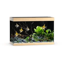 Juwel Rio 290 Led - Aquarium - 101x51x66 cm Licht Hout