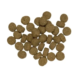 Kanjer Hond Krokante Brokken - - Hondenvoer