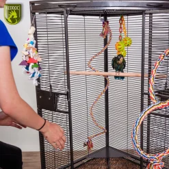 Keddoc Papegaaienkooi Ohio - Vogelverblijven - 91x64x168 cm Donkergrijs